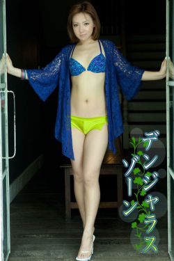 神龙斗士第一部国语